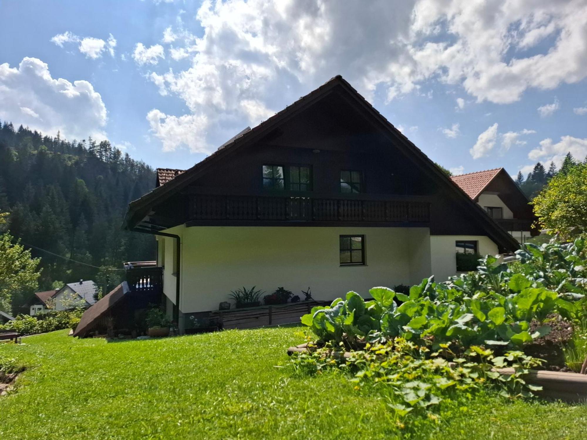 Apartma Cvrsta Trojka Jesenice Exterior photo